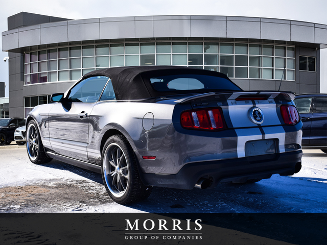 2010 Ford Mustang Shelby GT500 - Photo 4