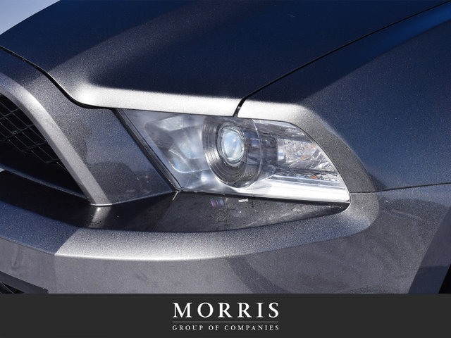 2010 Ford Mustang Shelby GT500 - Photo 6