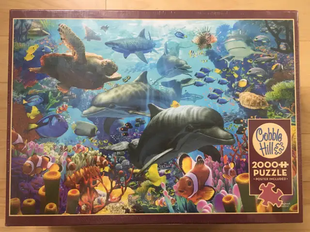 Casse-têtes / Puzzles (5 CT) – 2000@2500 pièces (II)