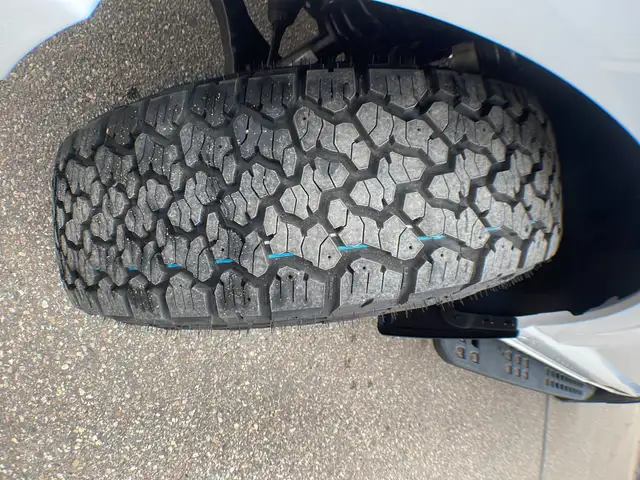 2026 Ford F-150 Tremor 401A - Photo 10