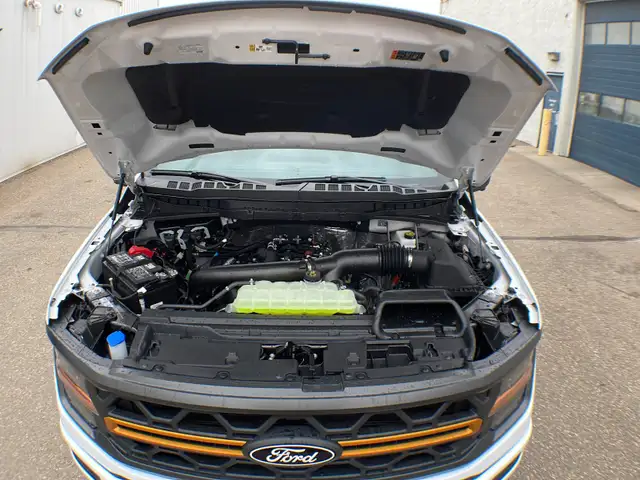 2026 Ford F-150 Tremor 401A - Photo 11