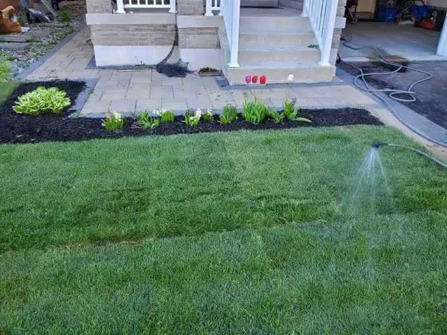 Affordable Lawn and Garden Services