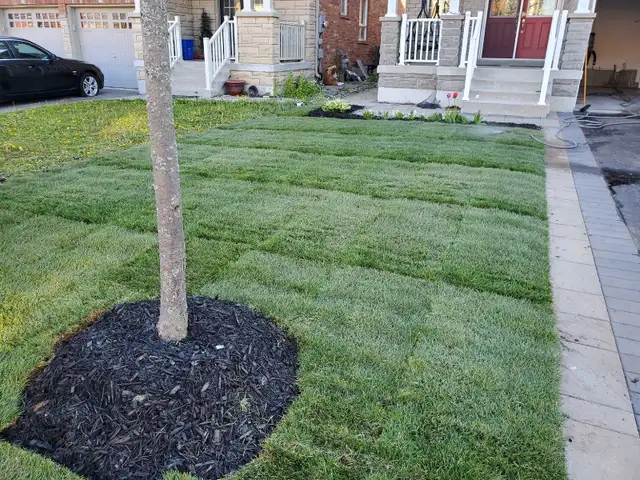Affordable Lawn and Garden Services - Photo 2