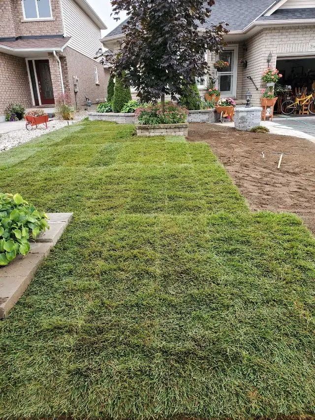 Affordable Lawn and Garden Services - Photo 8