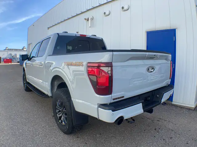 2026 Ford F-150 Tremor 401A - Photo 3