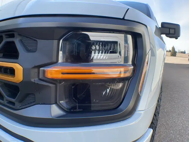 2026 Ford F-150 Tremor 401A - Photo 12