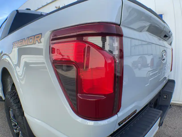 2026 Ford F-150 Tremor 401A - Photo 13