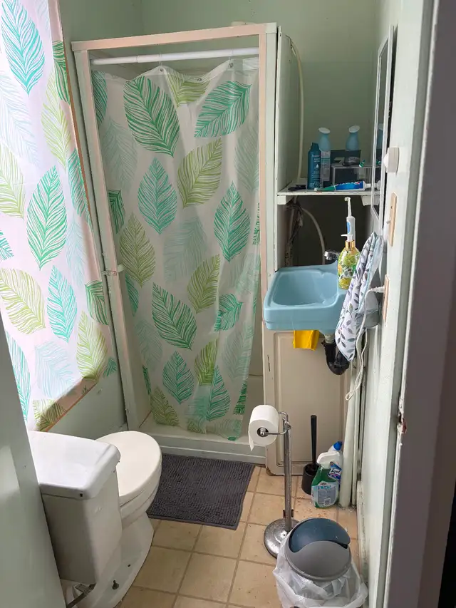 House rental near Queens University - Photo 4