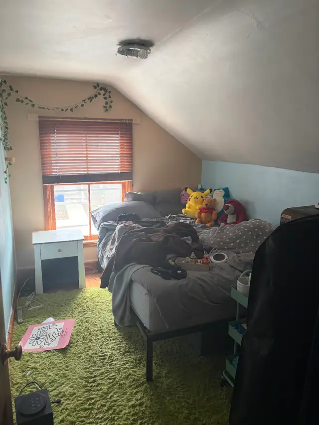 House rental near Queens University - Photo 8