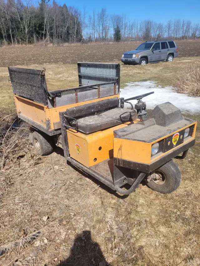 CUSHMAN WITH HYDRAULIC DUMPBOX 2 CYLINDER GAS ENGINE - Photo 2