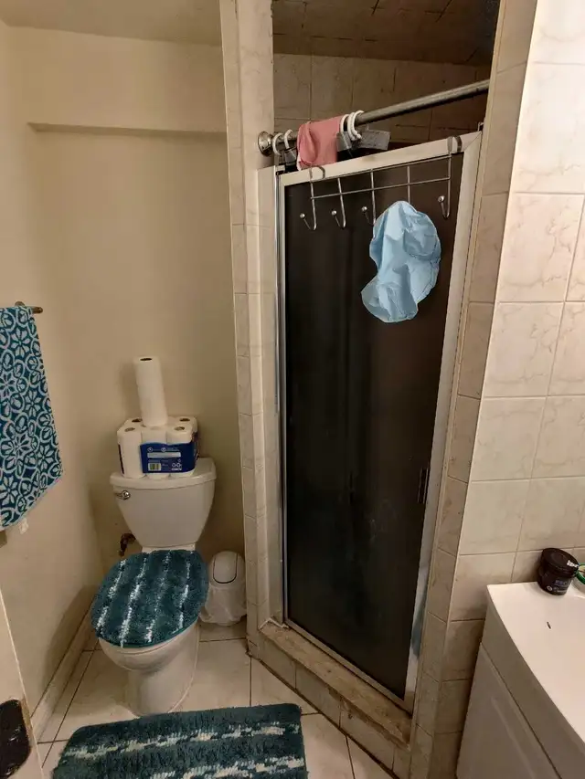 Room for Rent - Private Washroom (YorkU Heights) - Photo 2