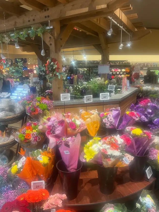 Timmins to Thunder Bay ride wanted