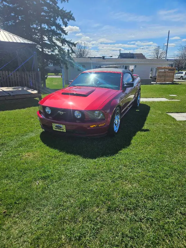 Mustang gt 2005 - Photo 4