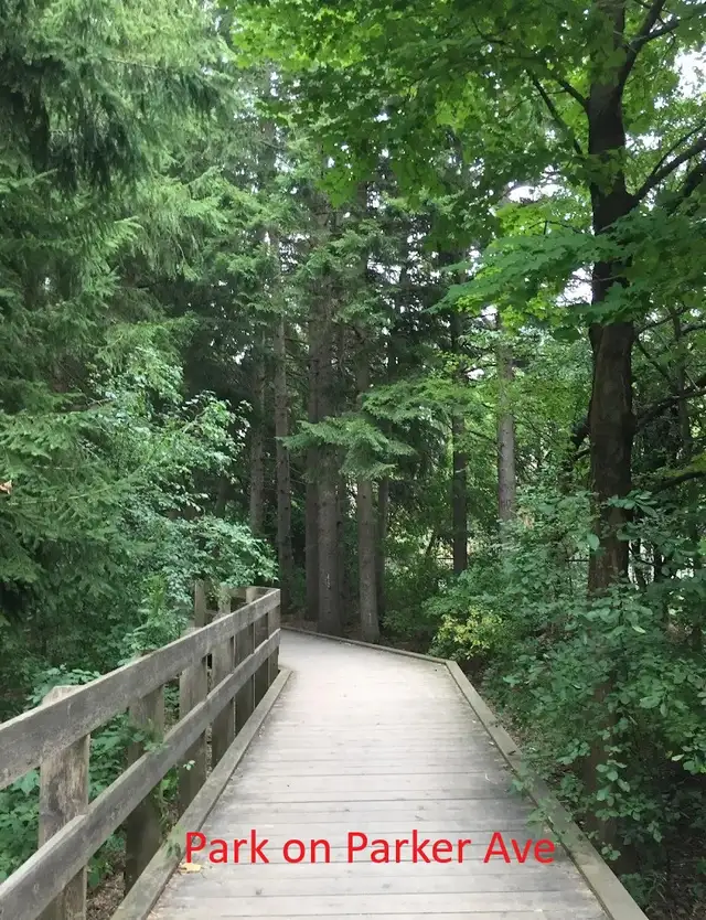 3 Bedroom Large House- Oak Ridges/Richmond Hill - Photo 13