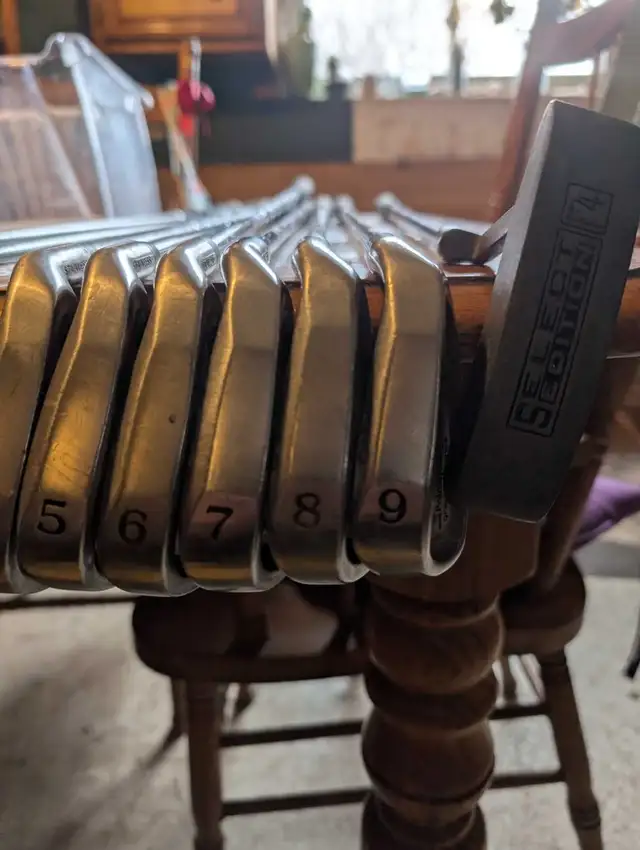 PalmSprings golf club set