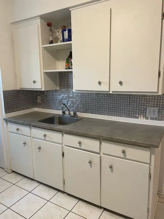 3 1/2 Ville St Laurent - Photo 4