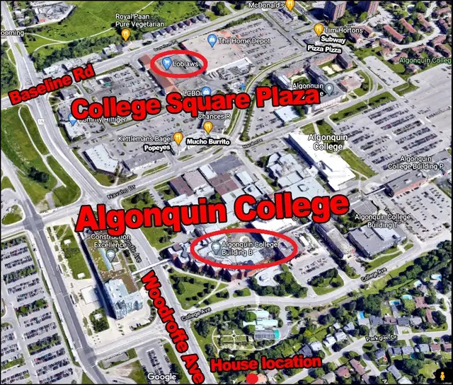 Furnished Room for rent Only 5 minutes walk to Algonquin College - Photo 10