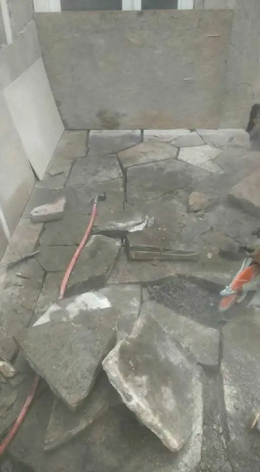 multi aide a vos services /paysager/location/ - Photo 9