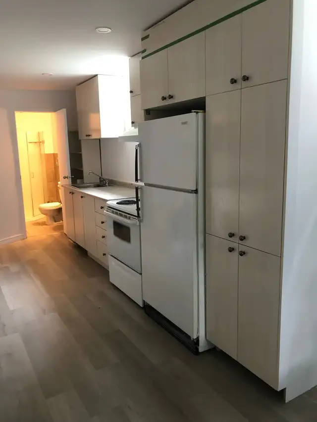 3 1/2 semi basement Ville St Laurent - Photo 3