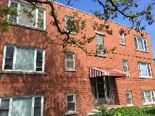 1-Bachelor Apartment, Hamilton East, $1050  hyd. Available May 1