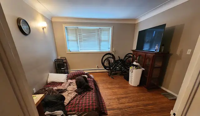 1-Bachelor Apartment, Hamilton East, $1050  hyd. Available May 1 - Photo 2