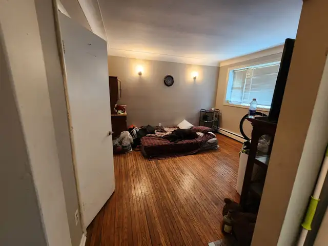 1-Bachelor Apartment, Hamilton East, $1050  hyd. Available May 1 - Photo 3