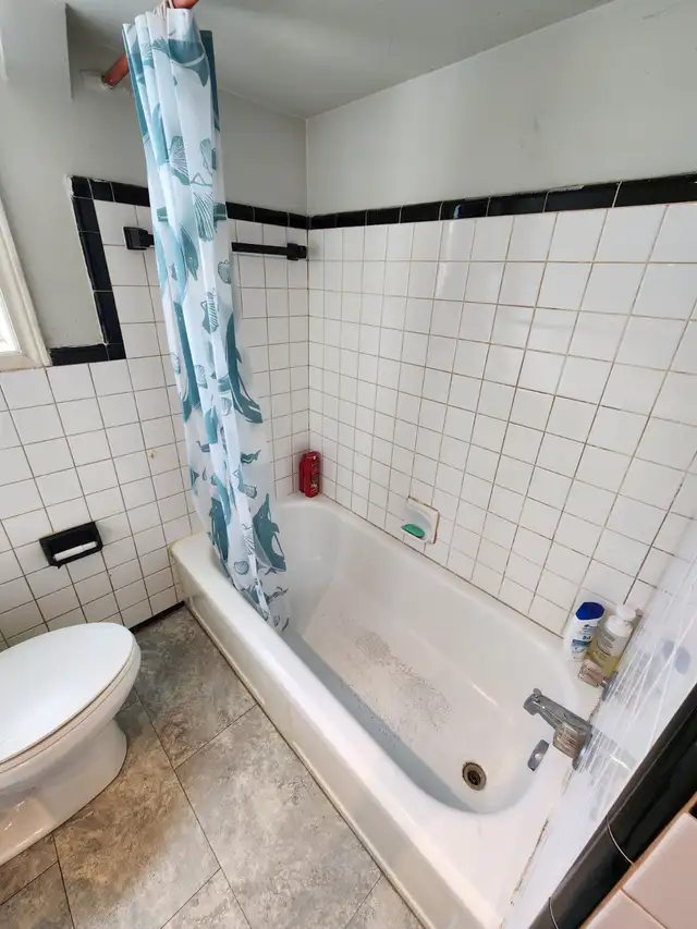 1-Bachelor Apartment, Hamilton East, $1050  hyd. Available May 1 - Photo 8