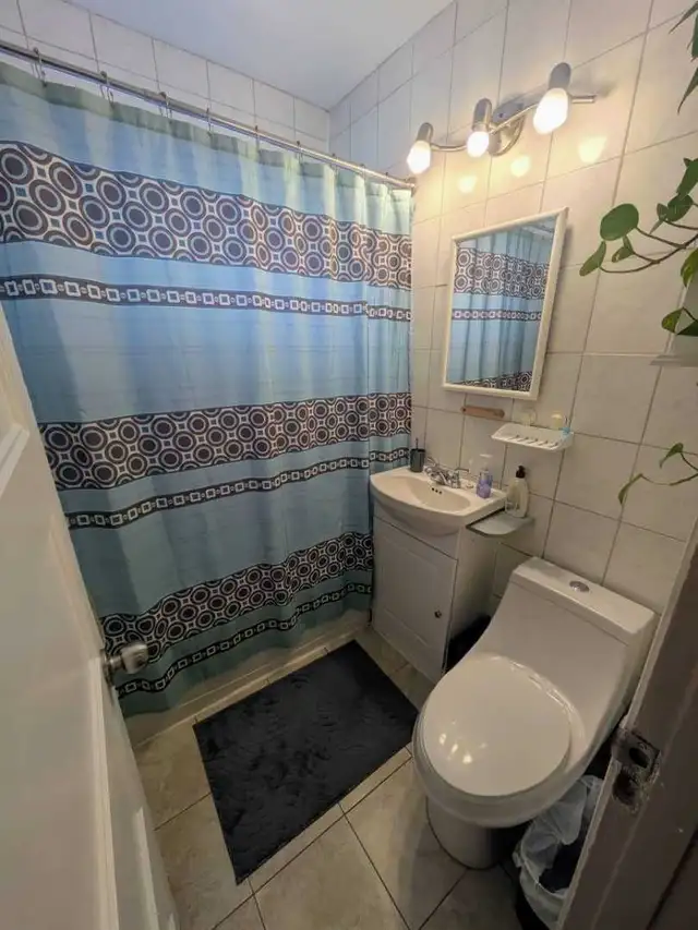 Villeray logement - Photo 7