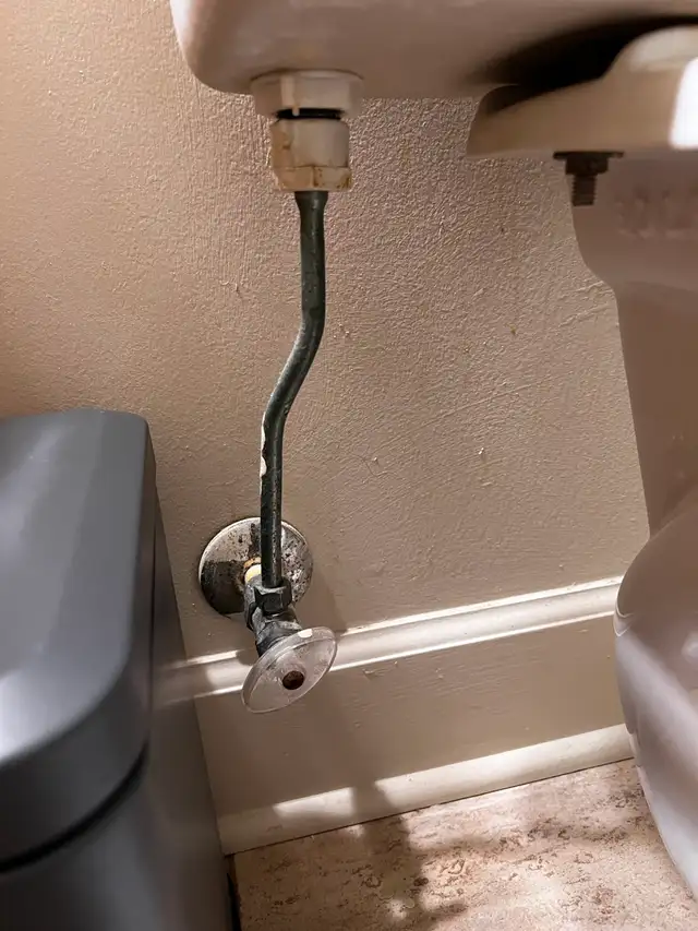 New Toilets Installed&Handeheld Bidet Installed - Photo 5