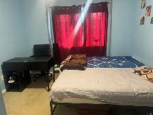 Room for Rent – $700 (All Inclusive!)