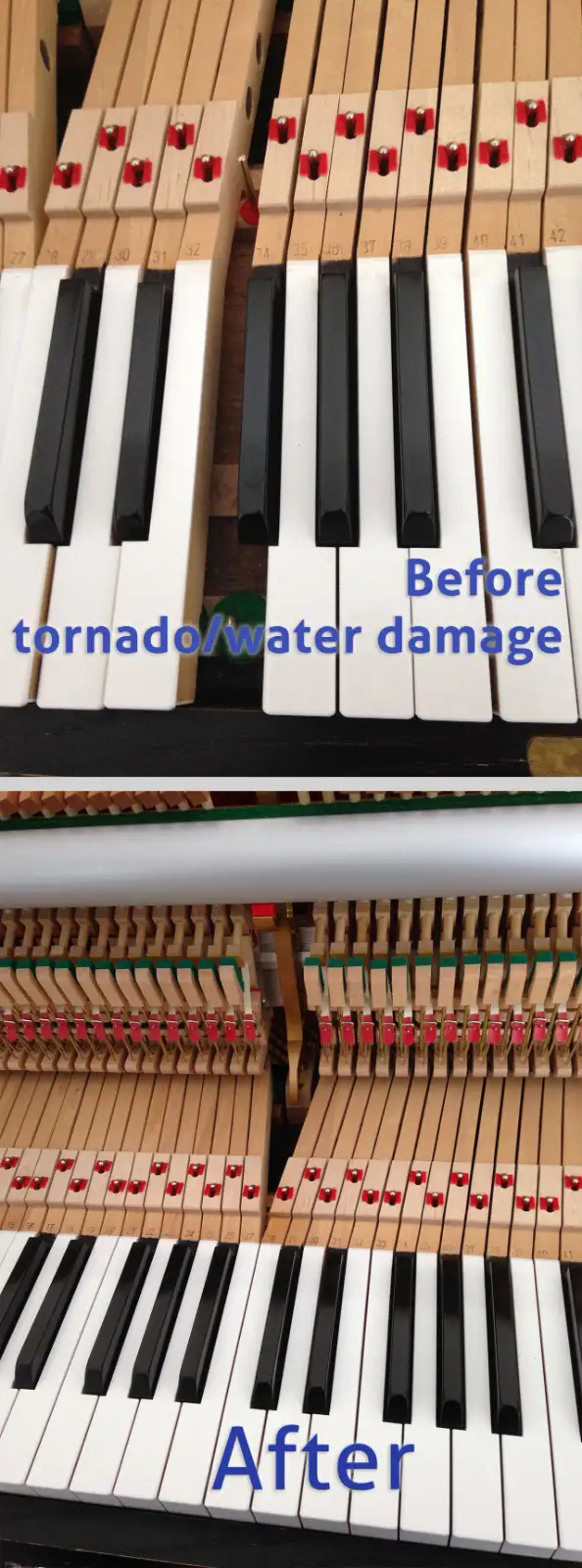 PIANO TUNER/TUNING/MOVlNG. GATINEAU/OTTAWA ACCORDEUR DE PIANO - Photo 2