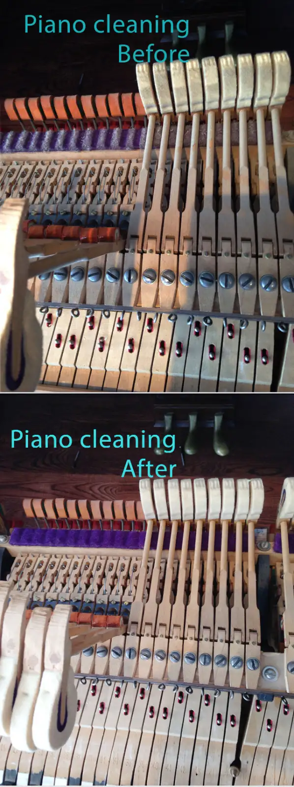 PIANO TUNER/TUNING/MOVlNG. GATINEAU/OTTAWA ACCORDEUR DE PIANO - Photo 4