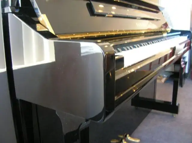 PIANO TUNER/TUNING/MOVlNG. GATINEAU/OTTAWA ACCORDEUR DE PIANO - Photo 9