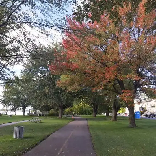 Furnished room in LASALLE all included wifi laundry mini fridge - Photo 3