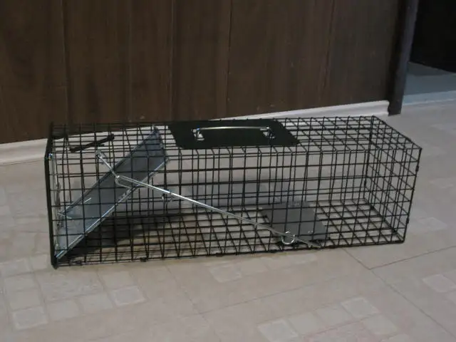 Small Live Animal Cage Trap, BRAND NEW