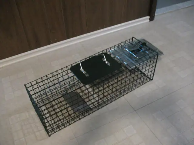 Small Live Animal Cage Trap, BRAND NEW - Photo 6