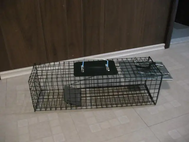 Small Live Animal Cage Trap, BRAND NEW - Photo 7
