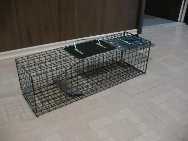 Small Live Animal Cage Trap, BRAND NEW - Photo 9