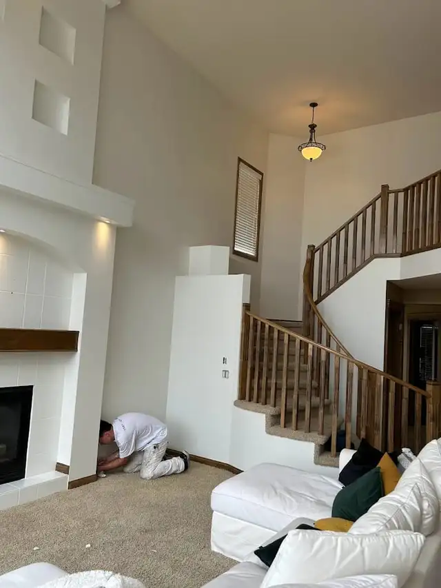 Professional Painter Painters Painting Renovation 647692.0562 - Photo 2