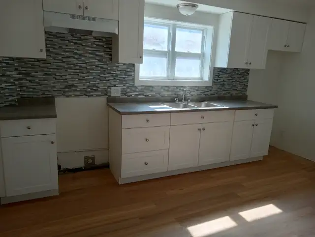 Beau 3 1/2 – Rosemont/Petite-Patrie – Fraichement rénové - Photo 2