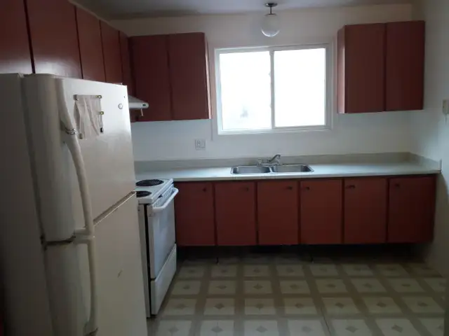 Large 3-bedroom apartment in Meadowlands Dr. near CU and AC - Photo 4