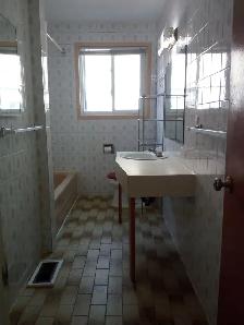 Large 3-bedroom apartment in Meadowlands Dr. near CU and AC - Photo 8