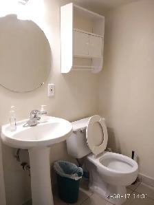 Ground Fl Room for Rent near UTSC/ Centennial Morningside - Photo 7