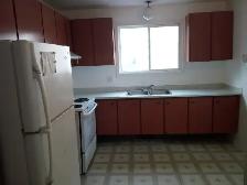 Rooms in Meadowlands Dr. near Carleton U & Algonquin College - Photo 4