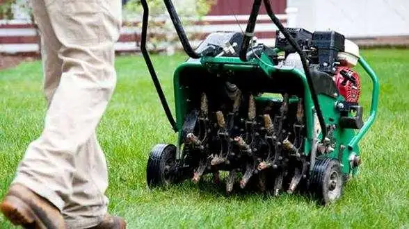 Quality lawn Aeration