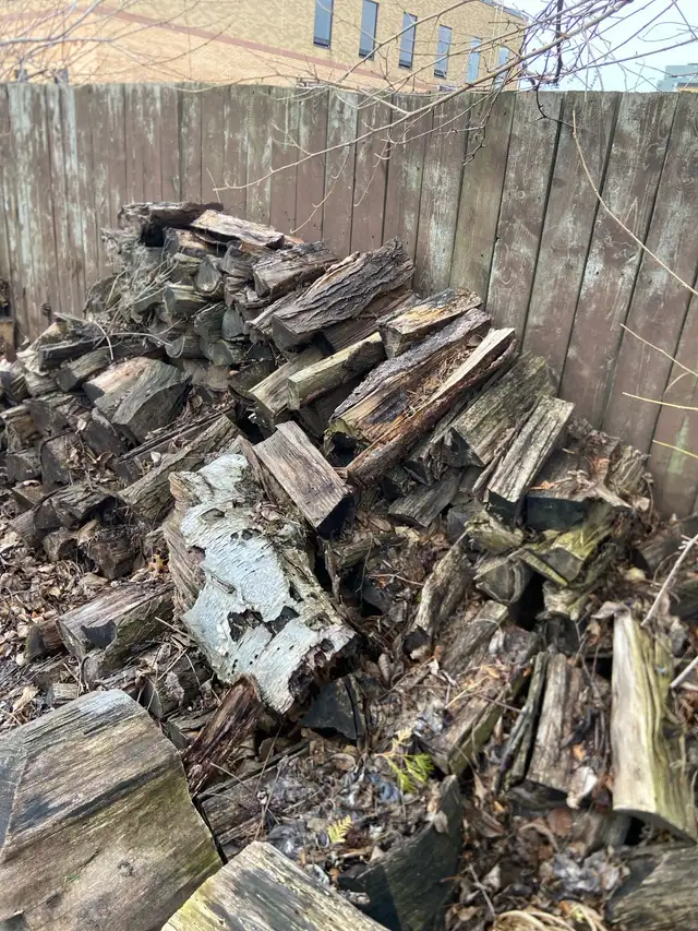 firewood - Photo 3