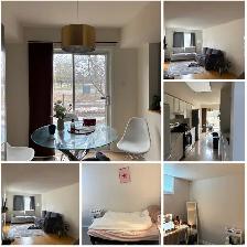 Summer Student Female Sublet (May 1 - August 31) $675