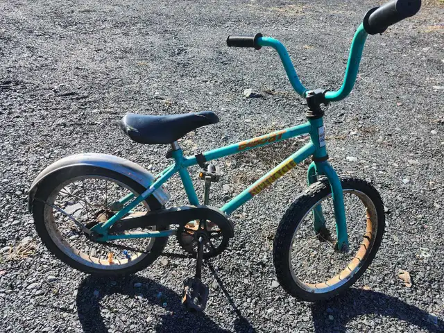 16 inch bike - Photo 2