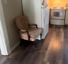 Free Sofa Sectional Apartment Size & OS Chair