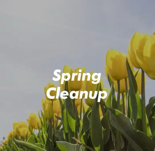Spring Cleanup